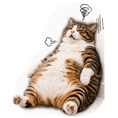Chubby meow 01 big no text