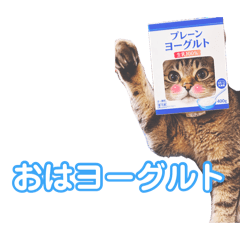 bibi&moca_20260805221854