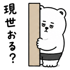 Bear Checking If You're Okay