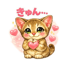 Adorable Singapura pet