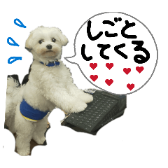 UFOOOOMYH_20260805165947