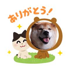 ori_20260805224030