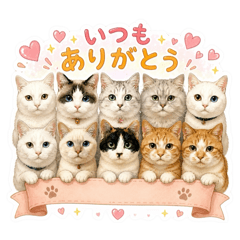 achomaro_20260805232516