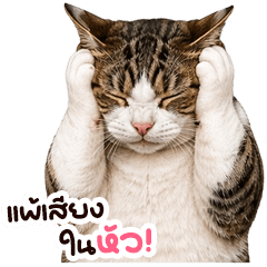 Chubby meow 01