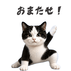 *Move! moving cat(hachiware)