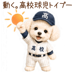 動く！高校球児トイプードル