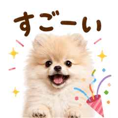 DOG  GOOD  Sticker310