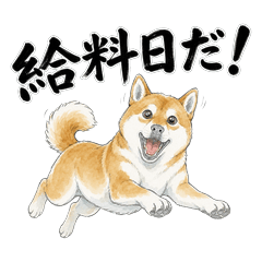 Money Talk Shiba Inu