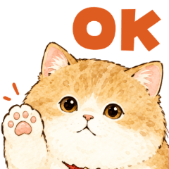 Squishy Cute Cats: Everyday Edition