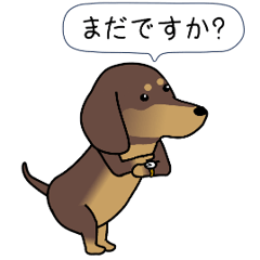 Wagging Tail 206