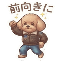 TOYPOODLE-PILOT3