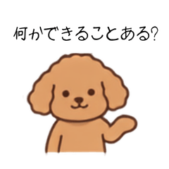Cute Toy Poodle Stickers vol5