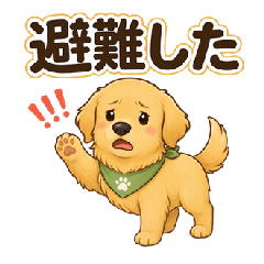 Tiny Golden Retrievers Used in Disasters