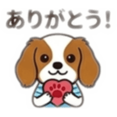 AMpapa_4