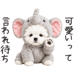 わがままで素直なもふもふわんこ