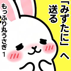 For Mizutani - Moffuri maru Rabbit 1