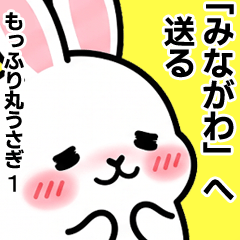【みながわ】へ送る・もっふり丸うさぎ1