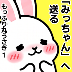 【みっちゃん】へ送る・もっふり丸うさぎ1