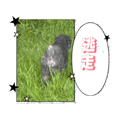 nanase_20260806020734