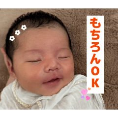 kinopi_20260806133400