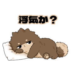 kokoa_20260806123929