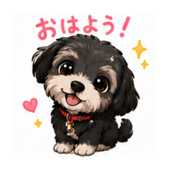 momo. everyday conversation