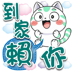 《生活好實用》★四喵★
