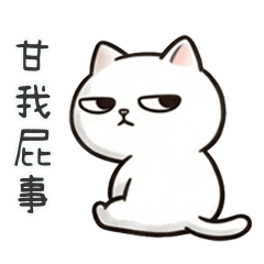 QQQQQQQQQQQQQQfunny cat2