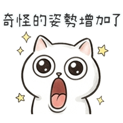 QQQQQQQQQQQQQQfunny cat3