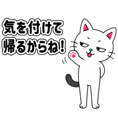 FLAP.flap_20260806141117