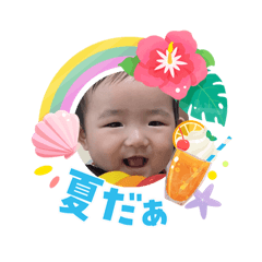 TAIGA_20260806083948