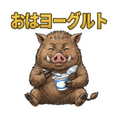 anjyu_20260806084657