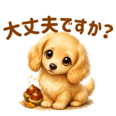 From Summer to Fall Dachshund News