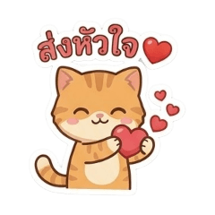 Ginger Cat Express