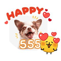 sandy_20260702101017