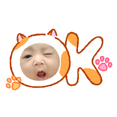 f'fern_20260702135452