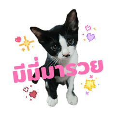 MiMiMaRuay