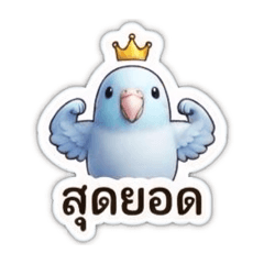 Pensiri_20260702134723