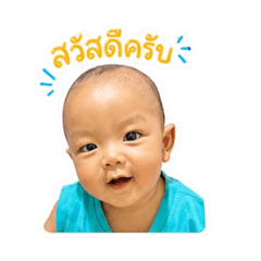 TreeO_20260702141249