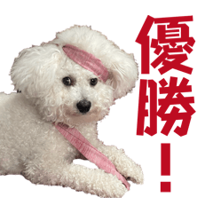 ayaka_20260806091551