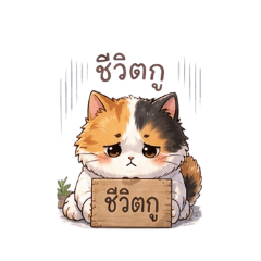 Hana_20260707205815