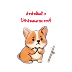 Kamonchanok_20260708142257