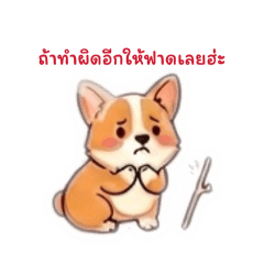 Kamonchanok_20260708142856