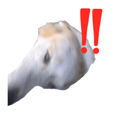 {Angle}_20260708183440