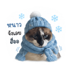 JANIE_20260717160730