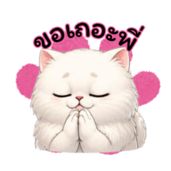 Cat say hi hi