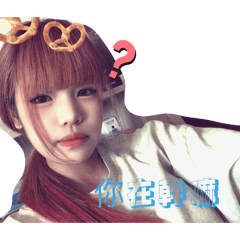 球球 元寶 xin