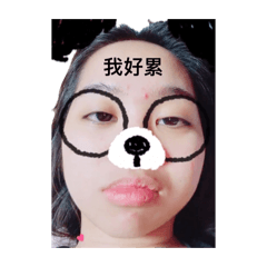 貢丸大寶寶