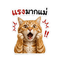 Just for Paws Gangsters 2