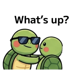 Wedkes: Turtles